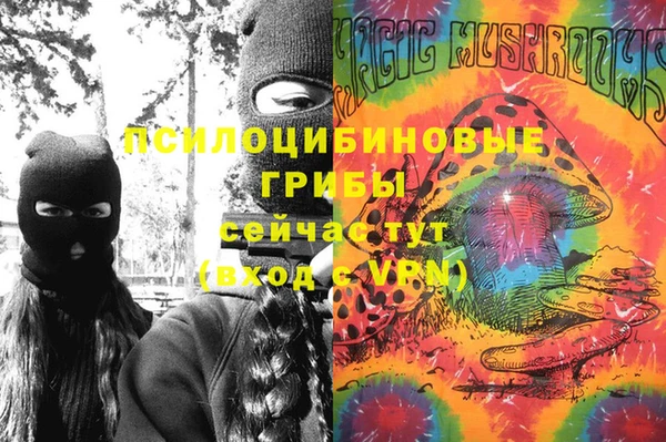 МДПВ Верхний Тагил