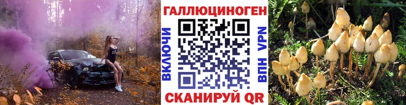 Псилоцибиновые грибы Magic Shrooms  купить наркоту  Рыбинск 
